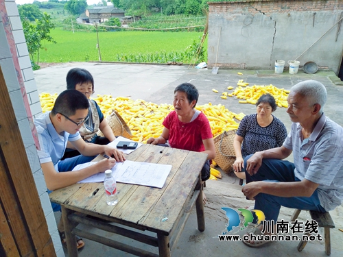 泸县百和镇开展惠农财政补贴“一卡通”专项治理行动(图1)