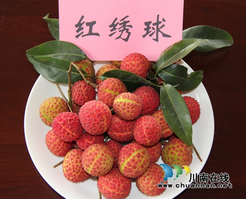 吃荔枝、看演出&nbsp;2018合江荔枝生态旅游节开幕(图5)