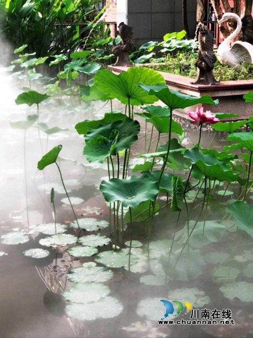 陆派·巴倒烫火锅&nbsp;体验马帮豪放生活文化(图3)