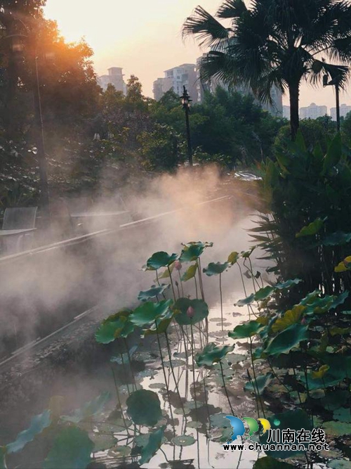 陆派·巴倒烫火锅&nbsp;体验马帮豪放生活文化(图2)