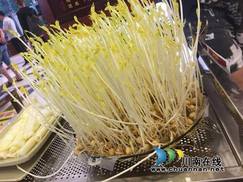 陆派·巴倒烫火锅&nbsp;体验马帮豪放生活文化(图10)