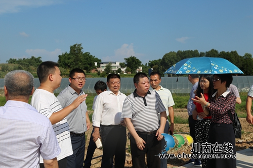 合江神臂城镇党政考察团到泸县太伏镇交流学习(图2)