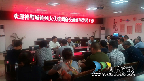 合江神臂城镇党政考察团到泸县太伏镇交流学习(图3)