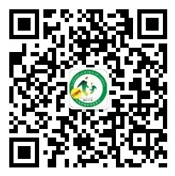 拍抖音拿千元大奖 蜀南竹海送“激情”福利啦(图3) 拍抖音拿千元大奖 蜀南竹海送“激情”福利啦(图3)