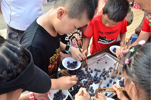 自贡荣边镇的葡萄熟了!千亩葡萄让你采个够(图2) 自贡荣边镇的葡萄熟了!千亩葡萄让你采个够(图2)