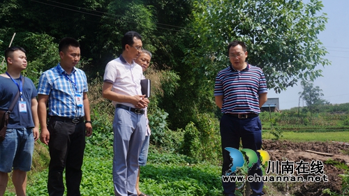 张学彬到泸县立石镇督导污水管网建设及企业排污工作(图1)