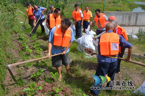 “7.17”抗洪抢险&nbsp;泸县太伏镇党员干部在行动(图3)