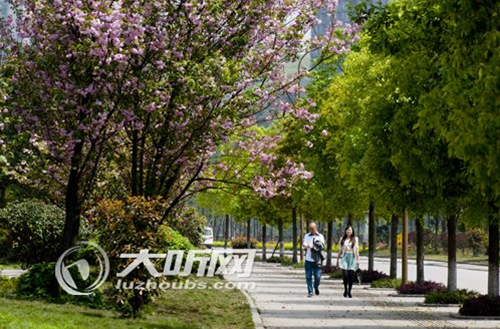 今年&nbsp;泸州将启动国家生态城市建设(图1)