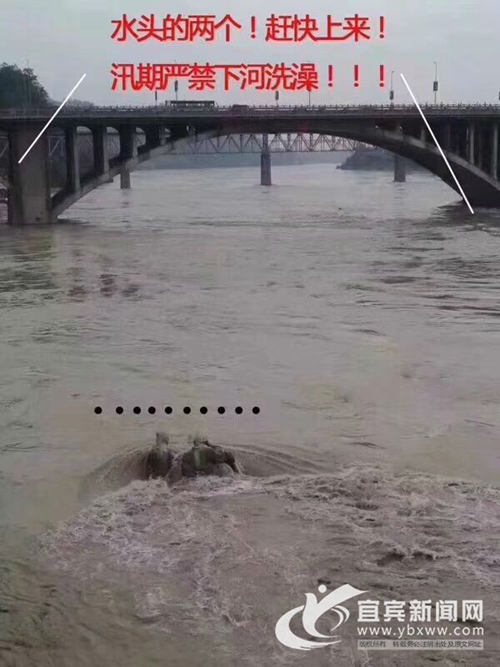 宜宾“苏黄”雕塑“水中吟诗”刷爆朋友圈！(图3)