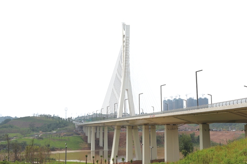 百业兴酒城&nbsp;飞虹夺两江(图4)