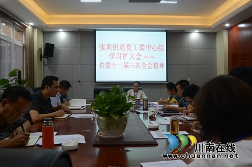 江阳区张坝街道党工委中心组学习贯彻省委十一届三次全会精神(图1)