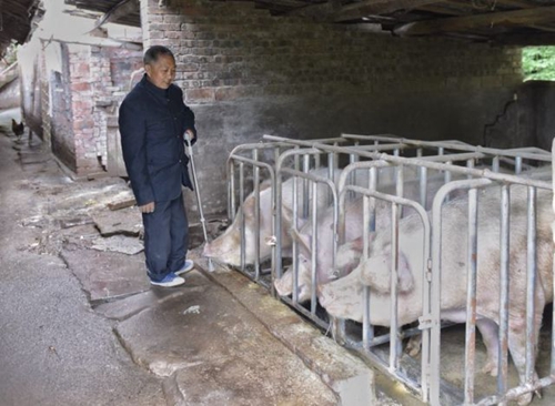 拄断七八根拐杖，余定泗三十余年“斗贫记”(图1)