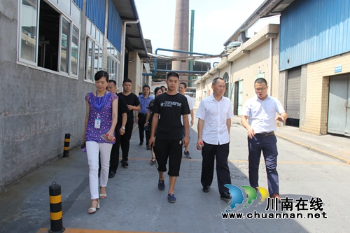 泸县人大内司委主任何光志到云龙镇进行污水处理环保督查(图1)