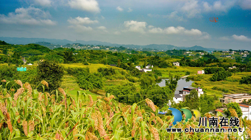 龙马潭区金龙镇加强基础设施建设 力推乡村振兴(图1) 龙马潭区金龙镇加强基础设施建设 力推乡村振兴(图1)