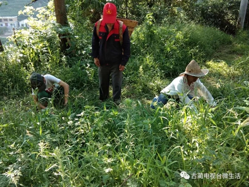 古蔺土城贫困户捡到8000多元钱&nbsp;完璧归赵！(图3)