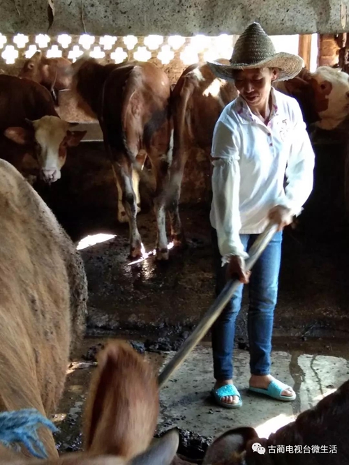 古蔺土城贫困户捡到8000多元钱&nbsp;完璧归赵！(图5)