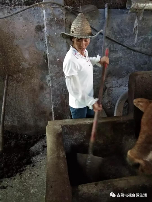 古蔺土城贫困户捡到8000多元钱&nbsp;完璧归赵！(图7)