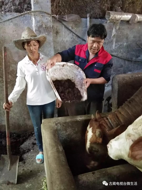 古蔺土城贫困户捡到8000多元钱&nbsp;完璧归赵！(图6)