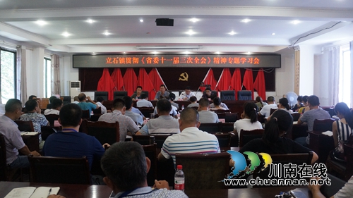 泸县立石镇召开贯彻《省委十一届三次全会精神》专题学习会(图1)