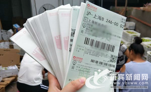 一天销2000单 宜宾“80后”很会卖李子!(图5) 一天销2000单 宜宾“80后”很会卖李子!(图5)