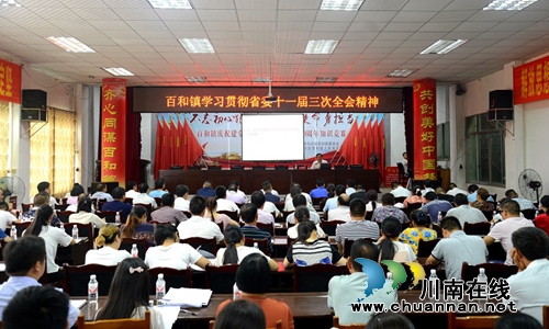 泸县百和镇学习贯彻省委十一届三次全会精神(图1)