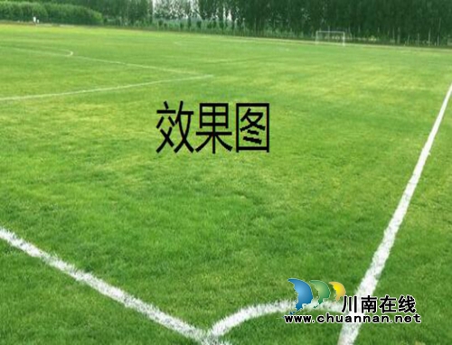 四川三河职业学院启动足球场修缮改造工程(图2)