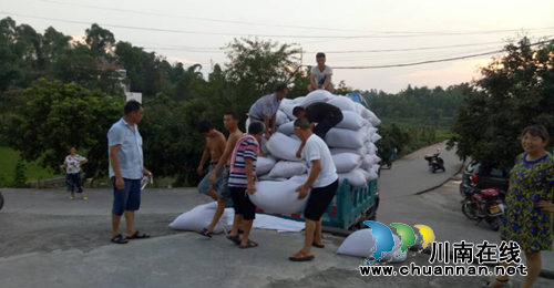 宜宾南溪区长兴镇人大代表积极参与红粱收购工作(图1)