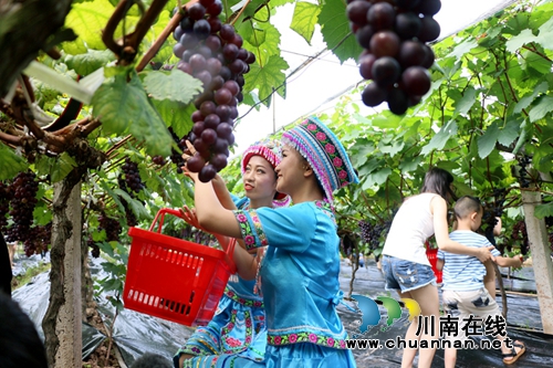 美乡村富乡亲&nbsp;泸州两农民出资百万建农业园(图1)