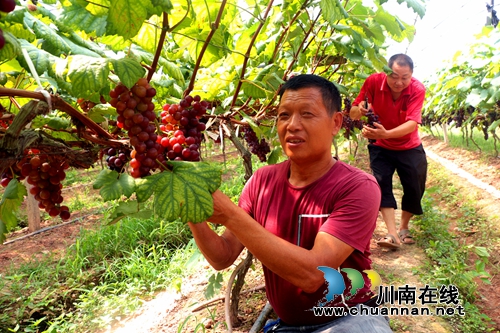 美乡村富乡亲&nbsp;泸州两农民出资百万建农业园(图2)