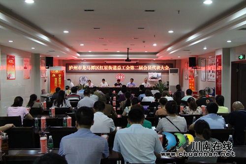 龙马潭区红星街道总工会召开第二届会员代表大会(图1)