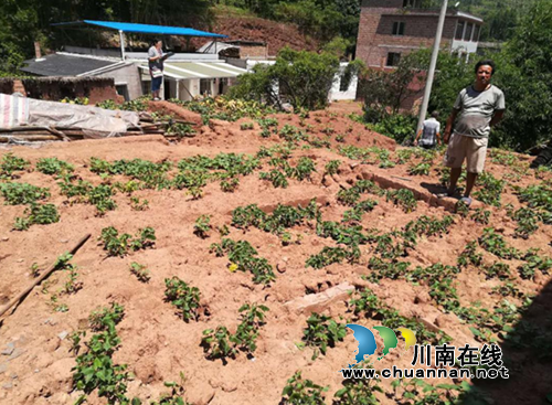 合江县国土资源局不畏高温酷暑下乡验收旧房拆除工作(图1)