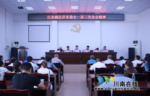 宜宾汪家镇大力宣讲省委十一届三次全会精神(图1)