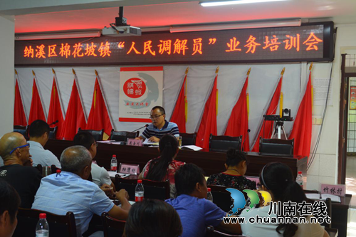 纳溪区棉花坡镇开展“人民调解员”专题业务培训(图1)