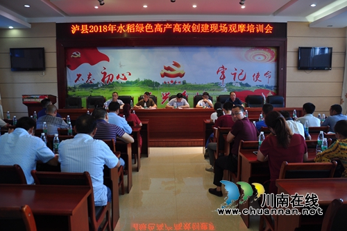 泸县召开2018年水稻绿色高产高效创建现场观摩培训会(图3)