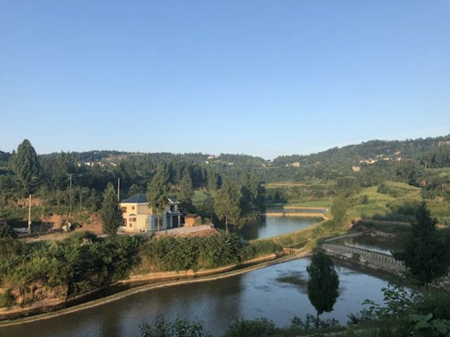 长坪山上访“穷亲”(图1)