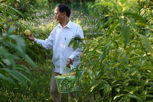 长坪山上访“穷亲”(图11)