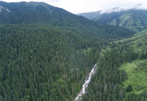 随村级河长探访岷江源(图2)