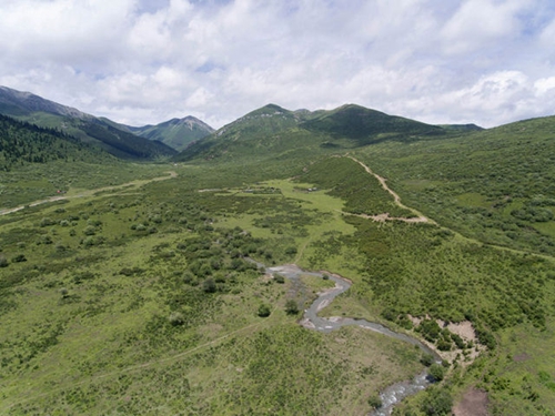 随村级河长探访岷江源(图3)