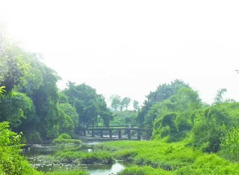 合江大寿桥:几经沉浮 千年古桥今犹在(图5) 合江大寿桥:几经沉浮 千年古桥今犹在(图5)