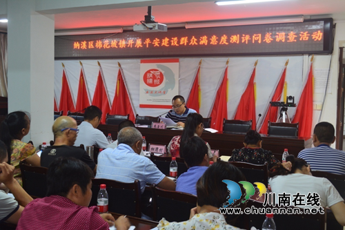 纳溪区棉花坡镇开展问卷调查提升平安建设群众满意度(图1)