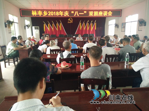 宜宾南溪区林丰乡召开“八一”建军节座谈会(图1)