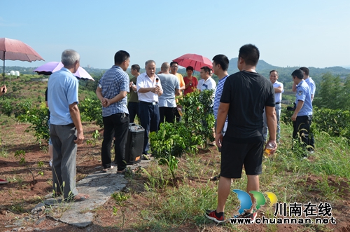 泸县太伏镇开展人大代表视察调研活动(图1) 泸县太伏镇开展人大代表视察调研活动(图1)
