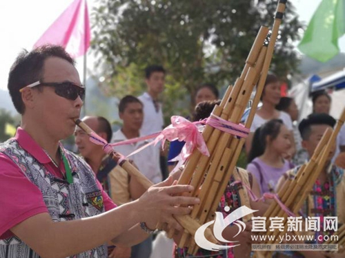 桑园变公园&nbsp;宜宾周家镇第二届蚕桑文化节开幕(图2)