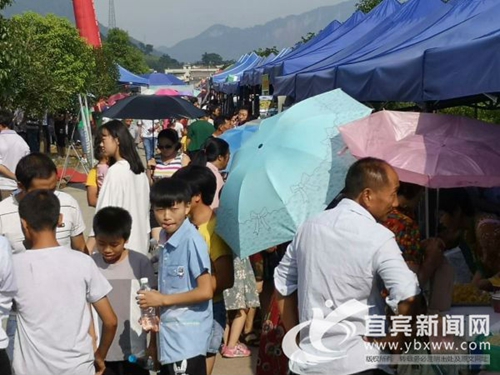 桑园变公园&nbsp;宜宾周家镇第二届蚕桑文化节开幕(图3)