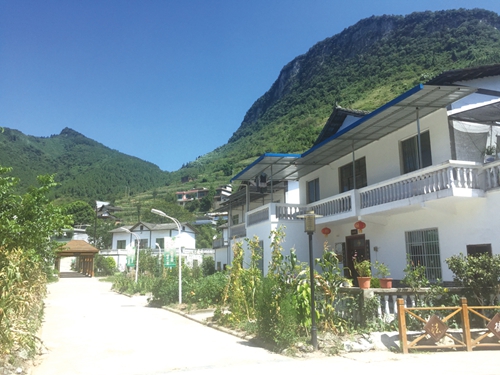 真抓实干谋发展&nbsp;顺利实现双过半(图8)