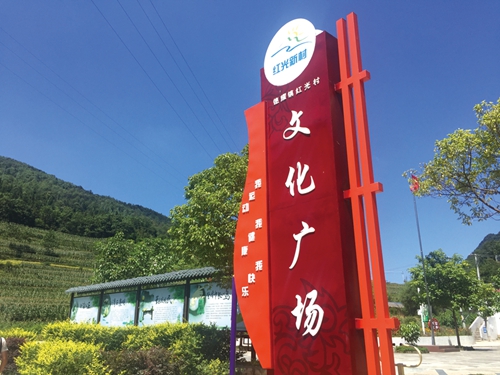 真抓实干谋发展&nbsp;顺利实现双过半(图12)