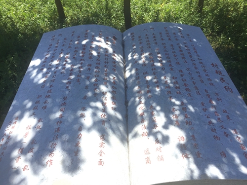 真抓实干谋发展&nbsp;顺利实现双过半(图14)