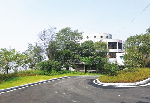 真抓实干谋发展&nbsp;顺利实现双过半(图19)