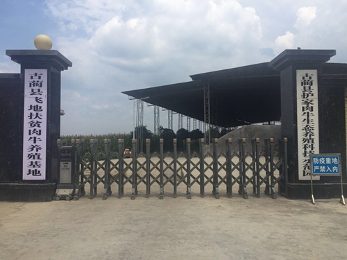 真抓实干谋发展&nbsp;顺利实现双过半(图25)