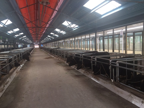 真抓实干谋发展&nbsp;顺利实现双过半(图29)